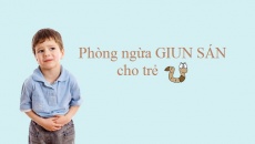 Làm thế nào để phòng ngừa giun sán cho trẻ nhỏ?