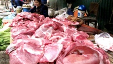 Ngân hàng Thế giới: 30 - 40% mẫu thịt lợn Việt Nam nhiễm khuẩn salmonella