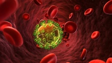 nghiên cứu đột phá trong điều trị AIDS: 'Tiêm' kháng thể HIV cho tế bào