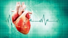 Nhịp tim chậm là bệnh gì, có nguy hiểm không?