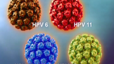 Nam giới chưa quan hệ 'chăn gối' cũng có thể nhiễm HPV?