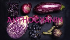 Anthocyanin - chất chống oxy hóa mạnh mẽ được y học tự cổ chí kim công nhận