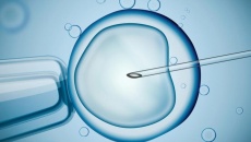 10 mẹo giúp thành công khi thụ tinh trong ống nghiệm IVF