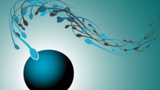 Vô sinh nam: Nguyên nhân, triệu chứng và cách điều trị 