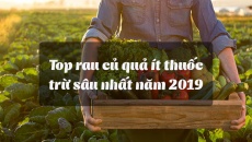 15 loại rau củ quả ít thuốc trừ sâu nhất năm 2019