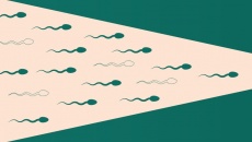 Hậu quả kinh hoàng của biến đổi khí hậu: Gây vô sinh nam?