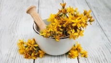 Cây ban Âu giúp giảm trầm cảm, cải thiện tâm trạng nhưng bổ sung thế nào?