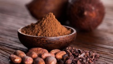 Vỏ cacao làm giảm tình trạng kháng insulin do béo phì