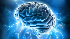 Cơn động kinh tác động đến não như thế nào?