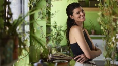 Trồng cây cảnh gì trong điều kiện nhiều sáng hoặc thiếu sáng?