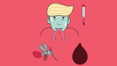 Viêm não do sốt xuất huyết: Hiếm gặp nhưng nguy hiểm tính mạng