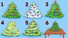 Chọn cách trang trí cây thông Noel để biết tính cách của bạn như thế nào?