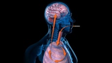 Hút thuốc lá làm tăng nguy cơ ung thư phổi di căn lên não