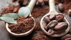 Lý do bạn nên uống cacao mỗi ngày