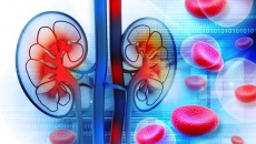 Làm sao phòng ngừa bệnh đái tháo đường biến chứng suy thận?