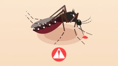 Những lưu ý khi phun thuốc diệt muỗi phòng bệnh sốt xuất huyết