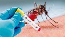 Cách nhận biết bệnh sốt xuất huyết và hướng điều trị đúng đắn
