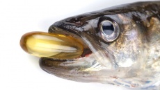 Tại sao nên bổ sung dầu cá vào chế độ ăn uống?