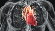 Thiếu máu cơ tim do hẹp mạch vành 30% điều trị thế nào?