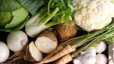 Ăn trái cây và rau củ màu trắng có thể giảm 52% nguy cơ đột quỵ?