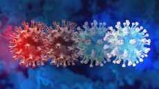 Bộ Y tế triển khai các biện pháp phòng, chống biến thể mới của virus SARS-CoV-2