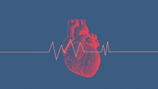 Người bệnh tim mạch thấy khó chịu khi nhịp tim trên 85 phải làm sao?