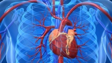 Bệnh hở van tim hai lá có nguy hiểm không?