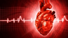 Mọi điều bạn cần biết về bệnh thiếu máu cơ tim