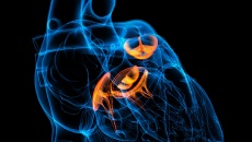 Chuyên gia tư vấn: Bệnh van tim là gì và có bao nhiêu dạng?