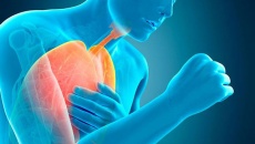 Tại sao xơ vữa động mạch gây ra tức ngực, khó thở nguy cơ nhồi máu cơ tim?