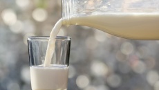nghiên cứu mới: Protein trong sữa bò có thể ngăn ngừa COVID-19 hiệu quả