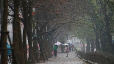 Bắc Bộ tiếp tục mưa dông rải rác, Nam Bộ ngày nắng nóng
