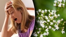 TPBVSK Goldream: Sản phẩm hay cho người mất ngủ, khó ngủ, rối loạn giấc ngủ