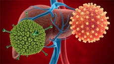  Adenovirus là 'thủ phạm' gây bệnh viêm gan bí ẩn ở trẻ em?