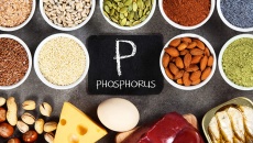 Thực phẩm giàu phospho nên có trong chế độ ăn hàng ngày