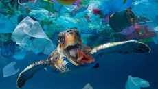 Giảm thiểu rác thải nhựa đại dương: Liệu chúng ta có làm được?