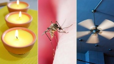 7 cách đơn giản để đuổi muỗi, phòng ngừa sốt xuất huyết