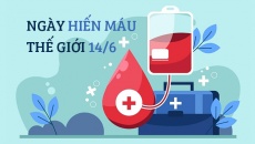 Ngày Hiến máu Thế giới: Tại sao bạn nên đi hiến máu?