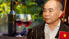 Cùng chuyên gia Tô Việt tìm hiểu về rượu vang Mỹ