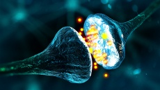 Người bệnh Parkinson nên thử 3 cách giúp tăng dopamine trong não