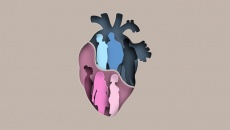 Khác biệt giữa triệu chứng đau tim ở nữ giới và nam giới