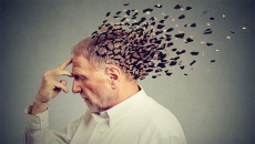12 lầm tưởng về lão hóa não