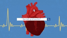 Infographic: Bạn đã thực sự hiểu rõ về bệnh suy tim?