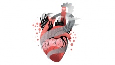 Ô nhiễm môi trường cũng có hại cho trái tim