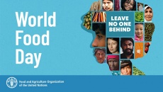 Ngày Lương thực Thế giới 2022: Không để ai bị bỏ lại phía sau
