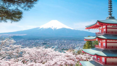 10 hoạt động không thể bỏ lỡ khi ghé thăm Nhật Bản