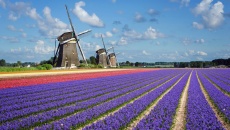 Hà Lan: trải nghiệm du lịch thăng hoa ở vùng đất thấp