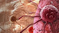 Cách tế bào ung thư trốn tránh cơ chế miễn dịch
