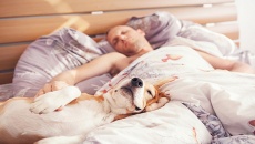Infographic: Lý do bạn nên cho thú cưng ngủ riêng