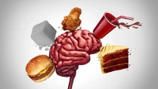 5 thực phẩm nên tránh để có não bộ minh mẫn khi về già
